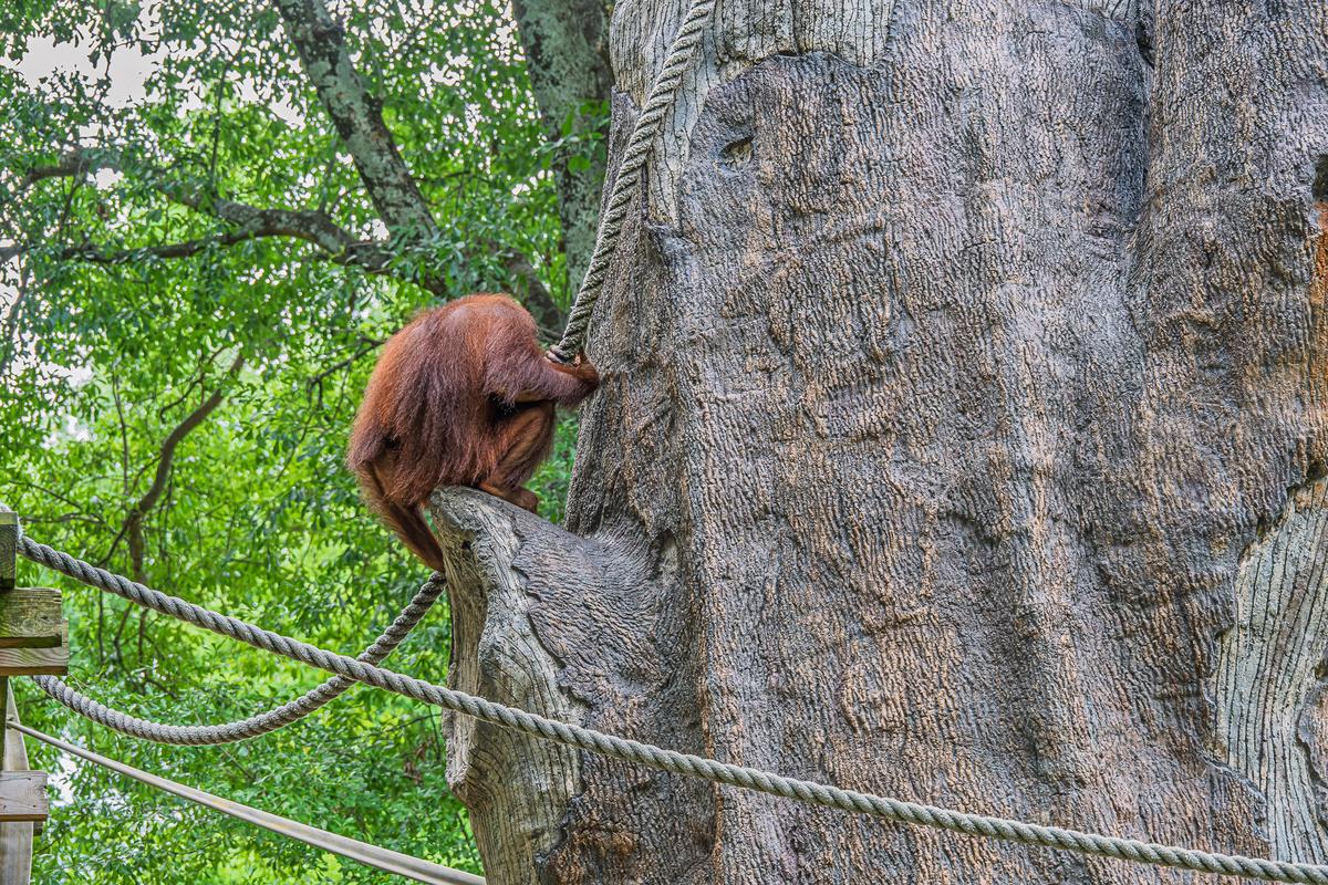 Zoo-86.jpg