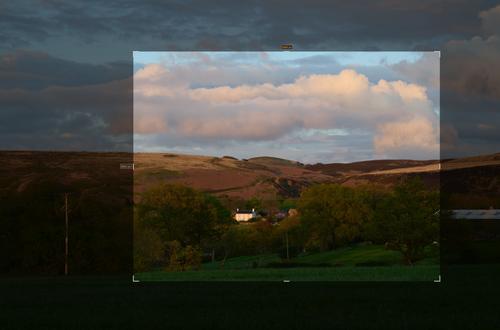 white coppice crop 1.jpg