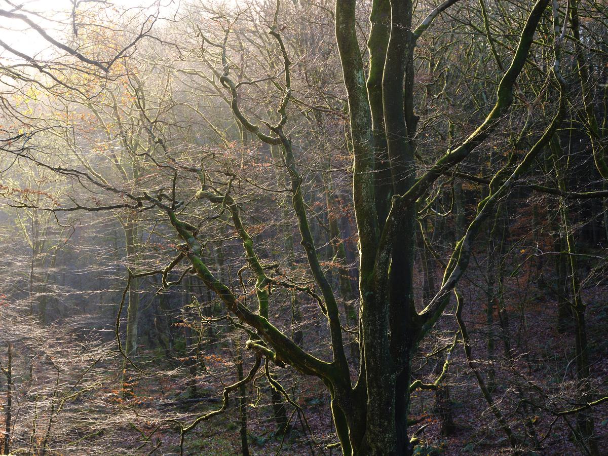 DSCF4056.jpg