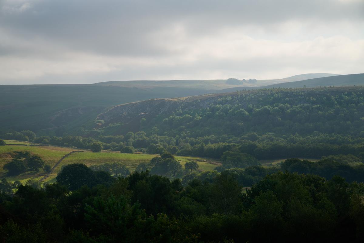 DSC_6921.jpg