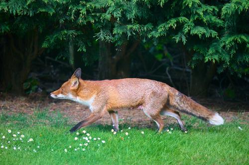 DSC_2150.jpg