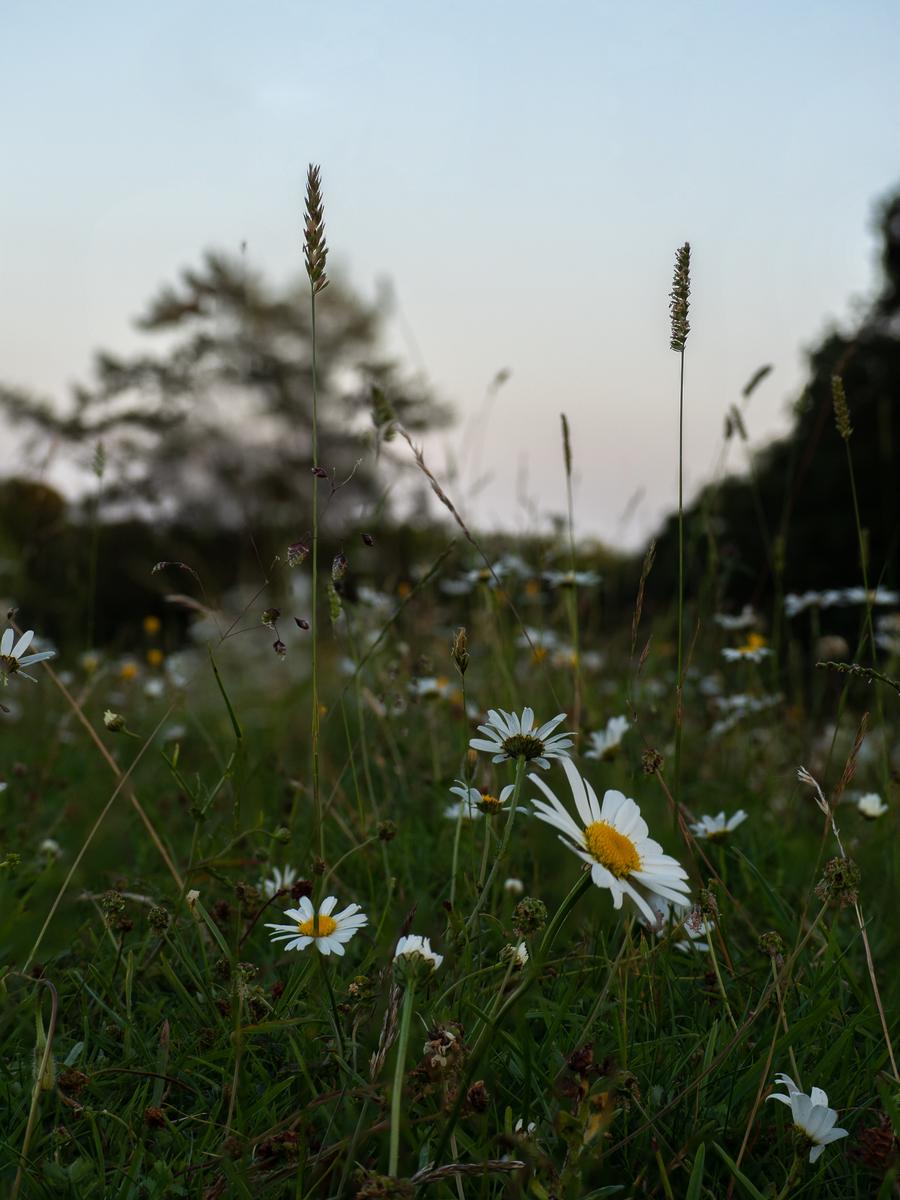 P6246734-Edit.jpg
