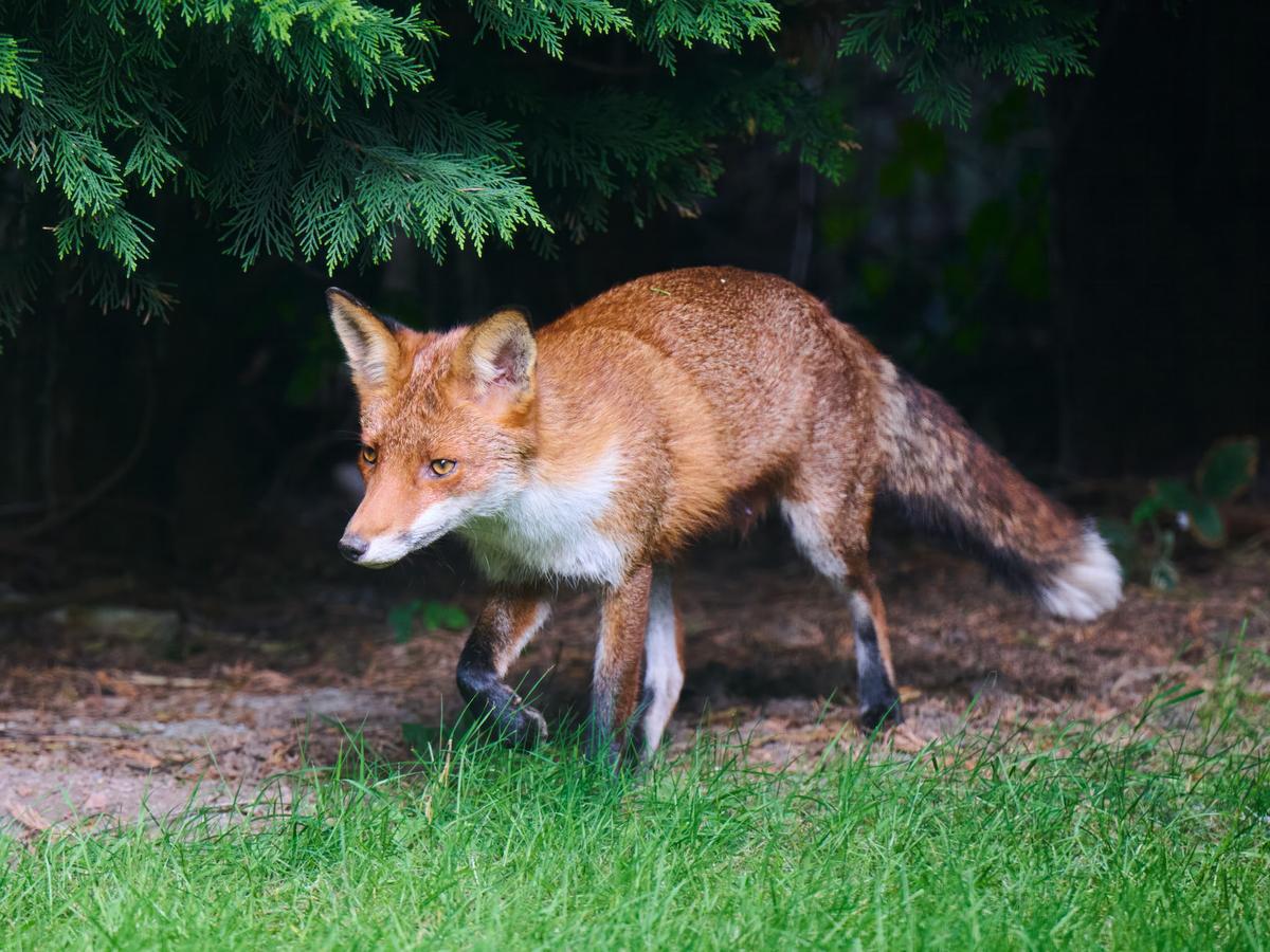 DSC_2182.jpg