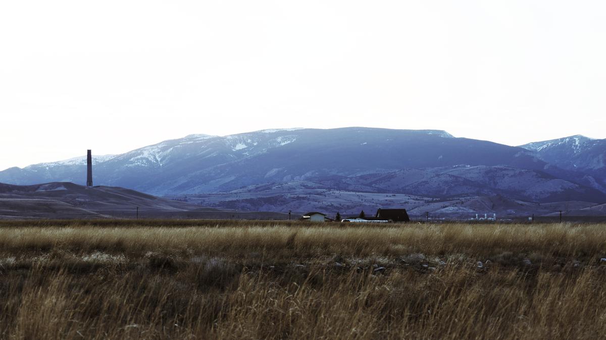 ACR04264.JPG