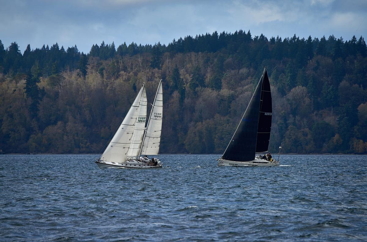 sailboats-01-small.jpg