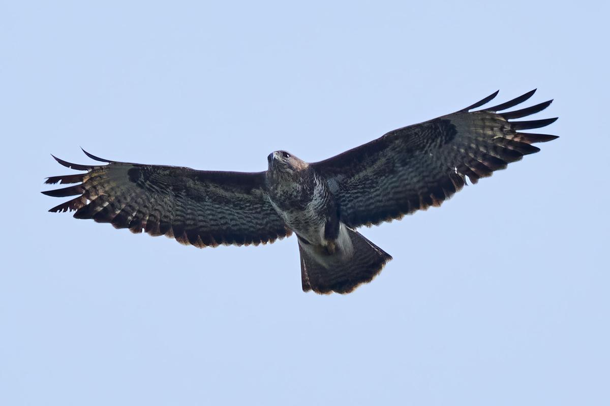 DSC_3583.jpg