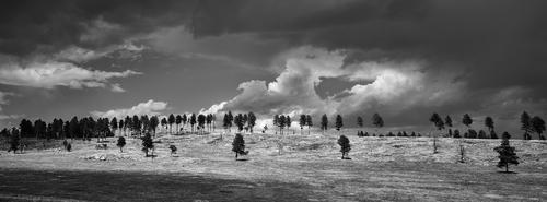 L1001396.jpg