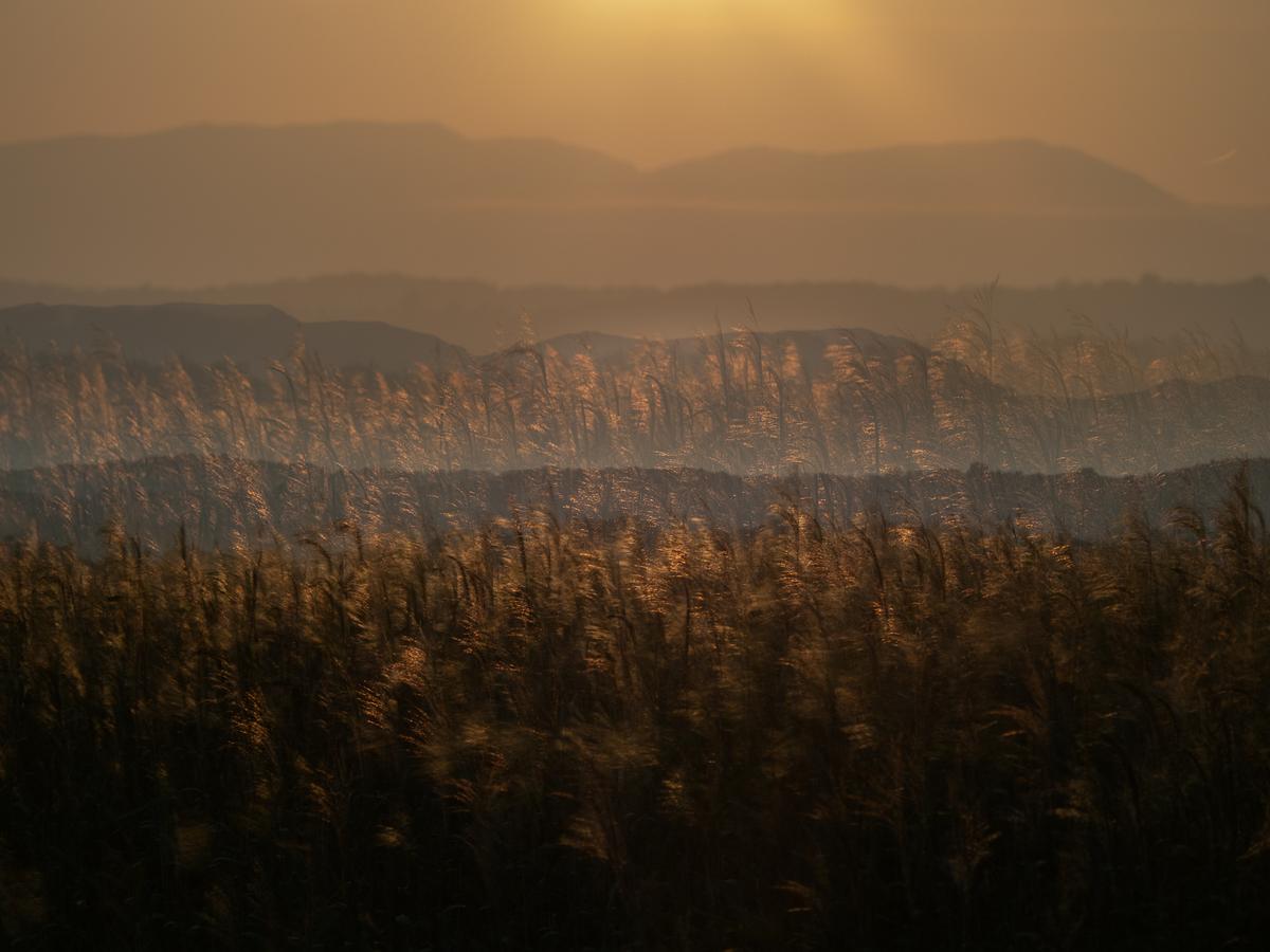 P7176877.jpg