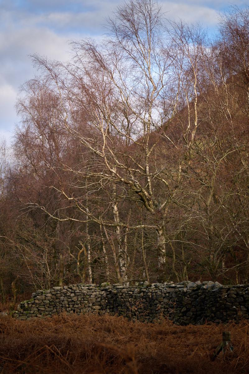DSC_0141.jpg