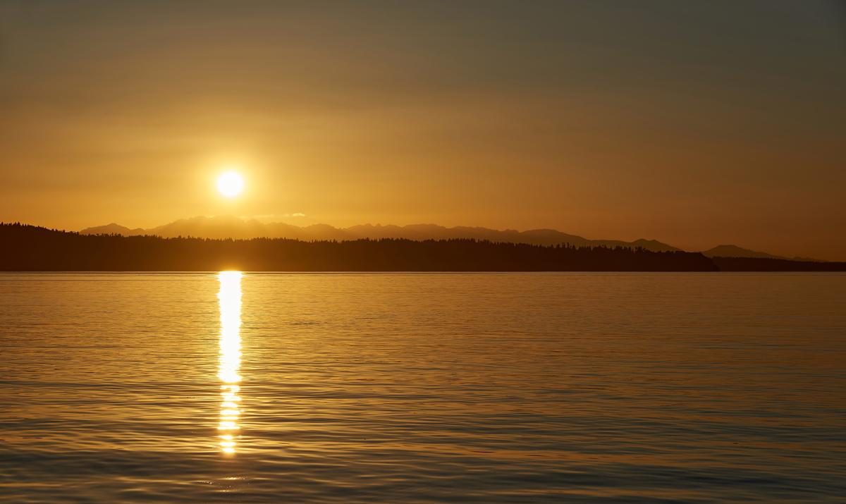 ttp-gold-sunset-small.jpg