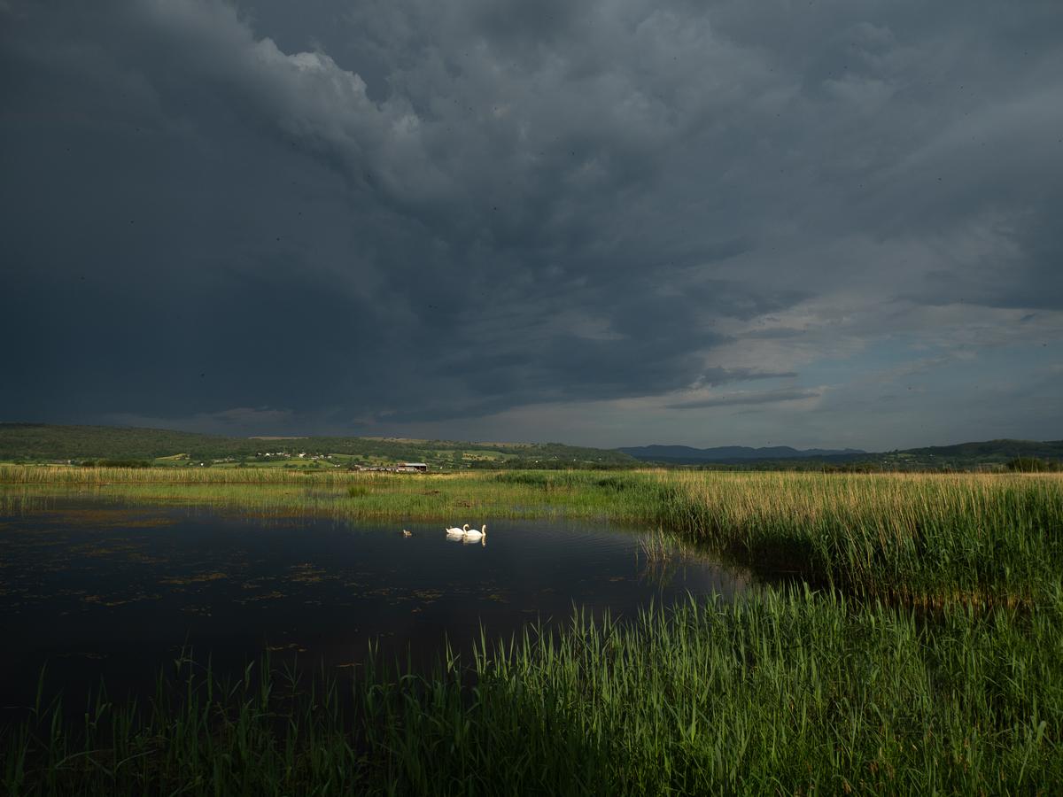 P5286544.jpg