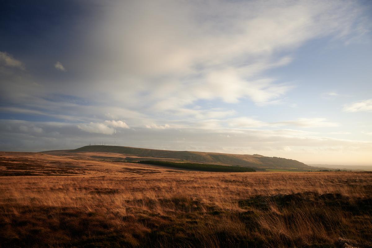 DSC_0749.jpg