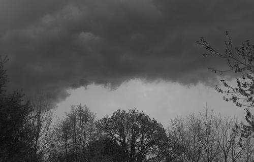 IMG_2718(1).JPG