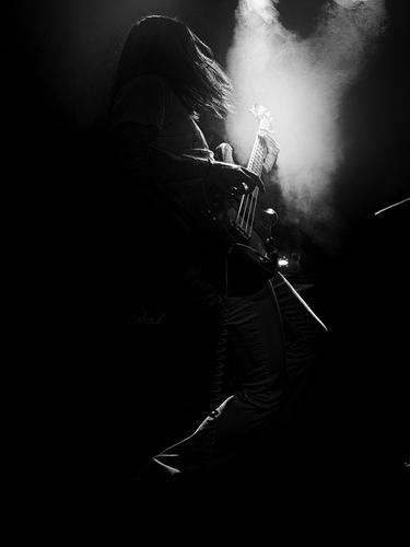 P3217794_Nik-1_DxO.jpg
