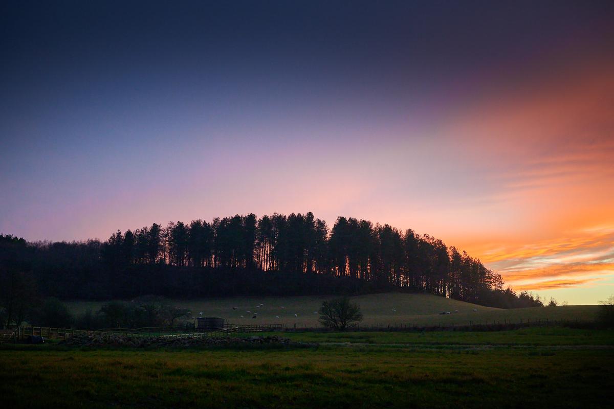 DSC_1398.jpg