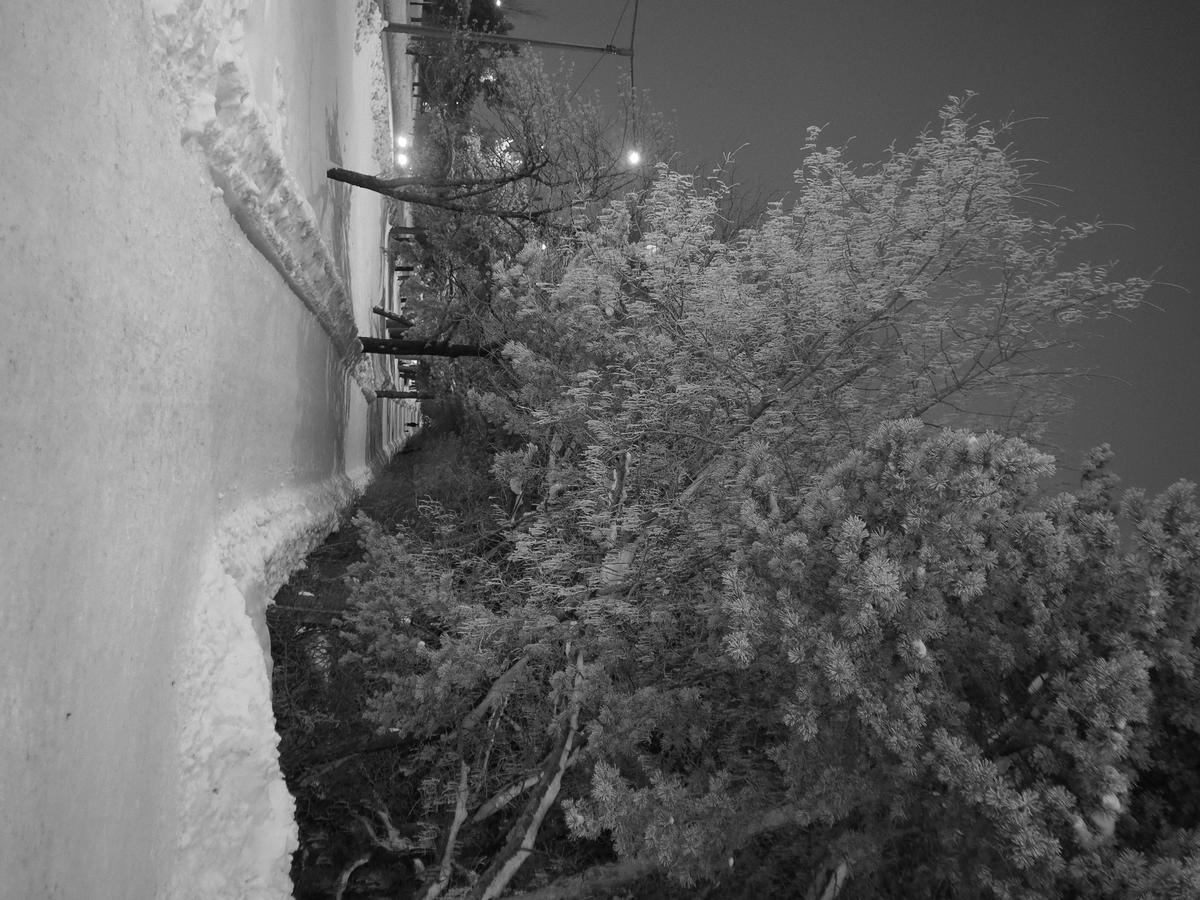 P1200003.JPG