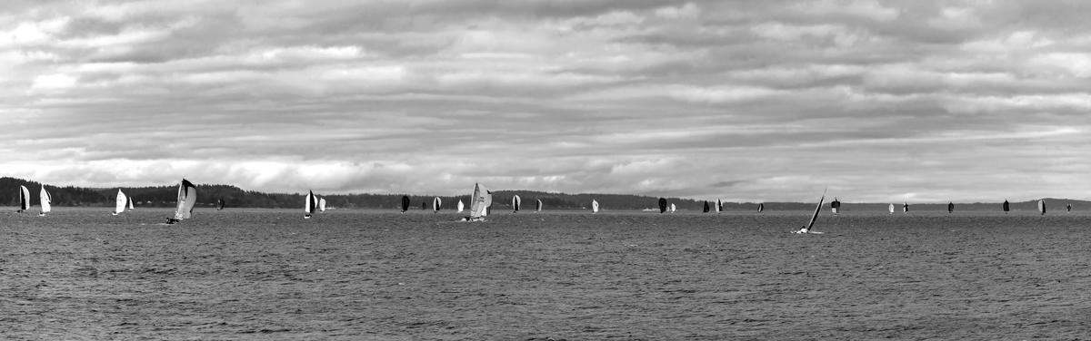 ttp-sail-06-BW-small.jpg