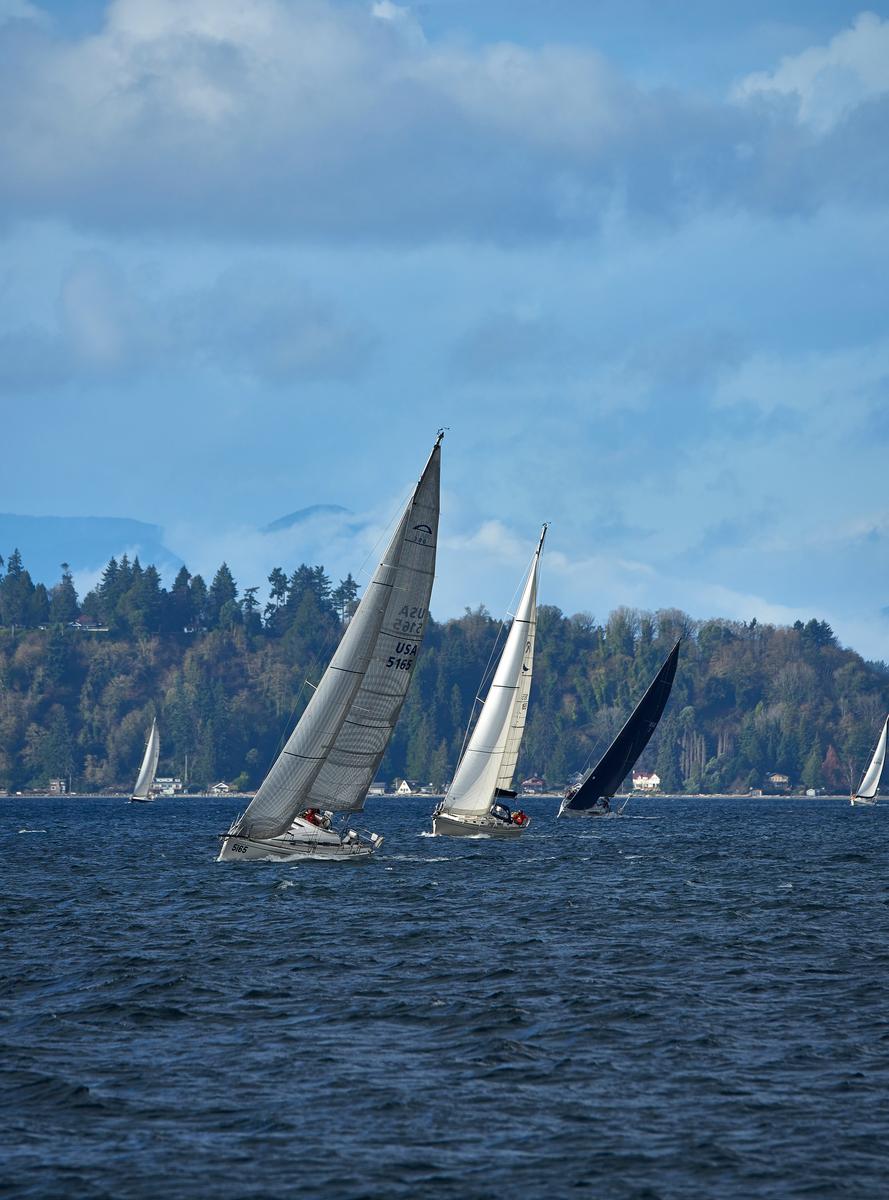 sailboats-04-small.jpg