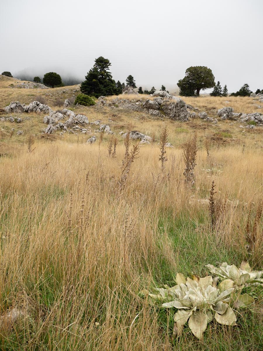 PB065825.jpg