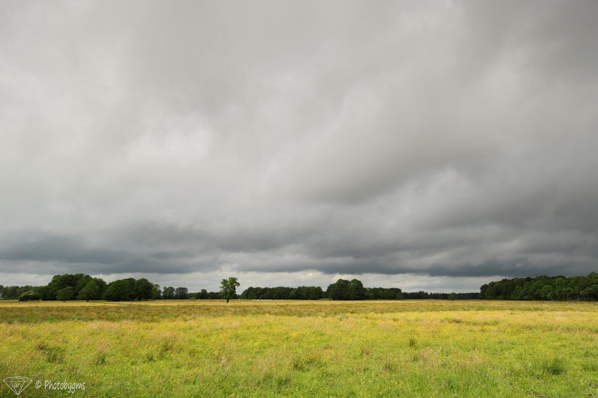 62B_8604.jpg