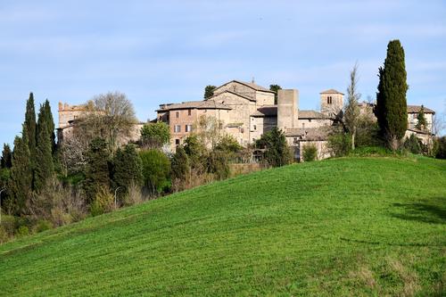 8DS_1025.jpg