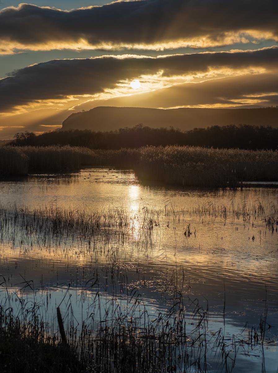 PC245973-HDR.jpg