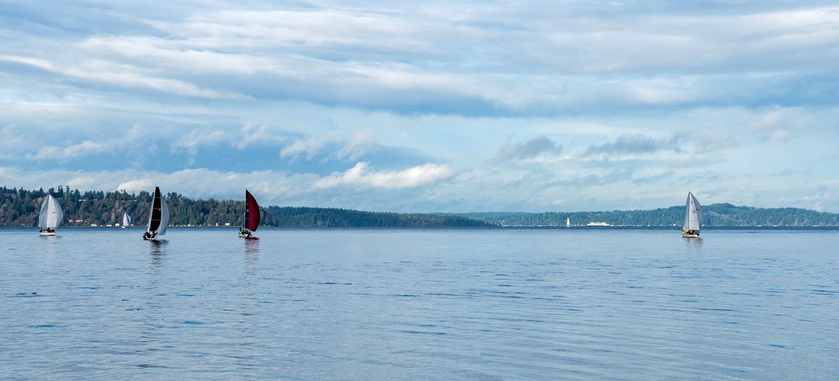 sailboats-wide-01-small.jpg