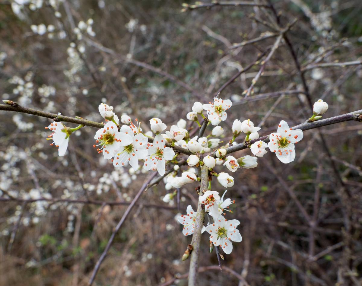 P3276406-Edit.jpg