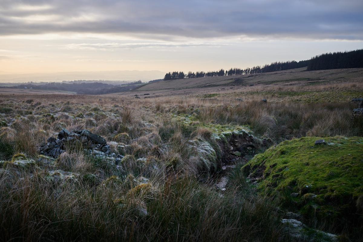 DSC_1203.jpg
