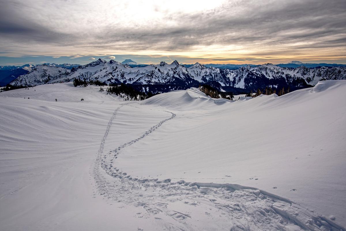tatoosh-adams-hood-helens.jpg