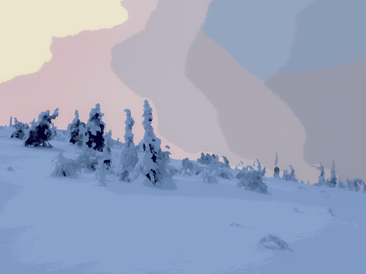 P2133826x8.jpg
