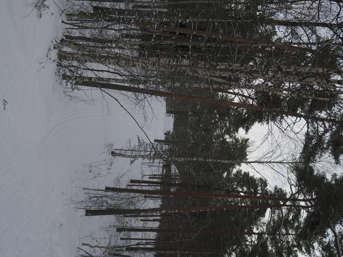 P2240013.JPG