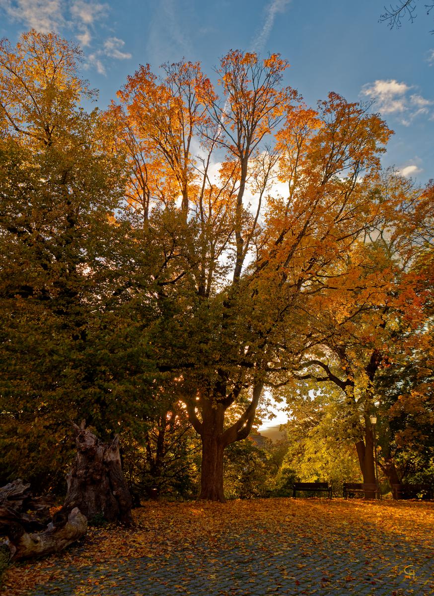 PA190096_DxO-3.jpg