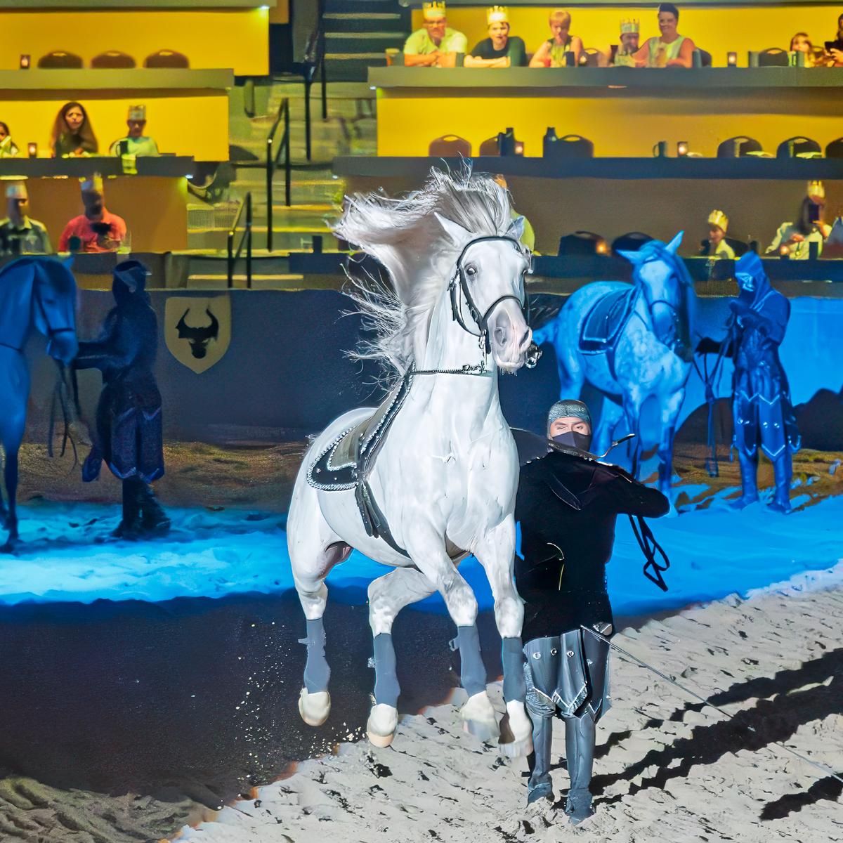 Medieval Times-210716-20-Enhanced-NR-2-Edit.jpg