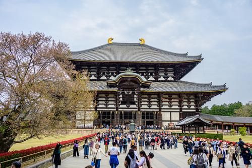 Nara 20250410 - 37.jpg
