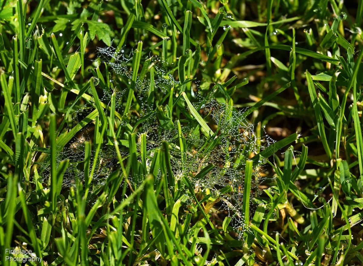 DSC_4075 smaller.JPG