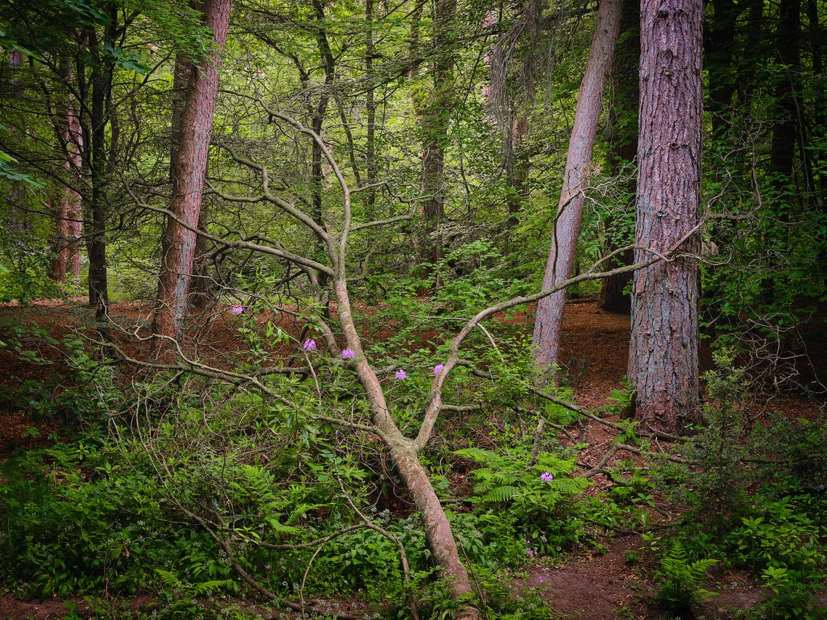 DSCF3150.jpg