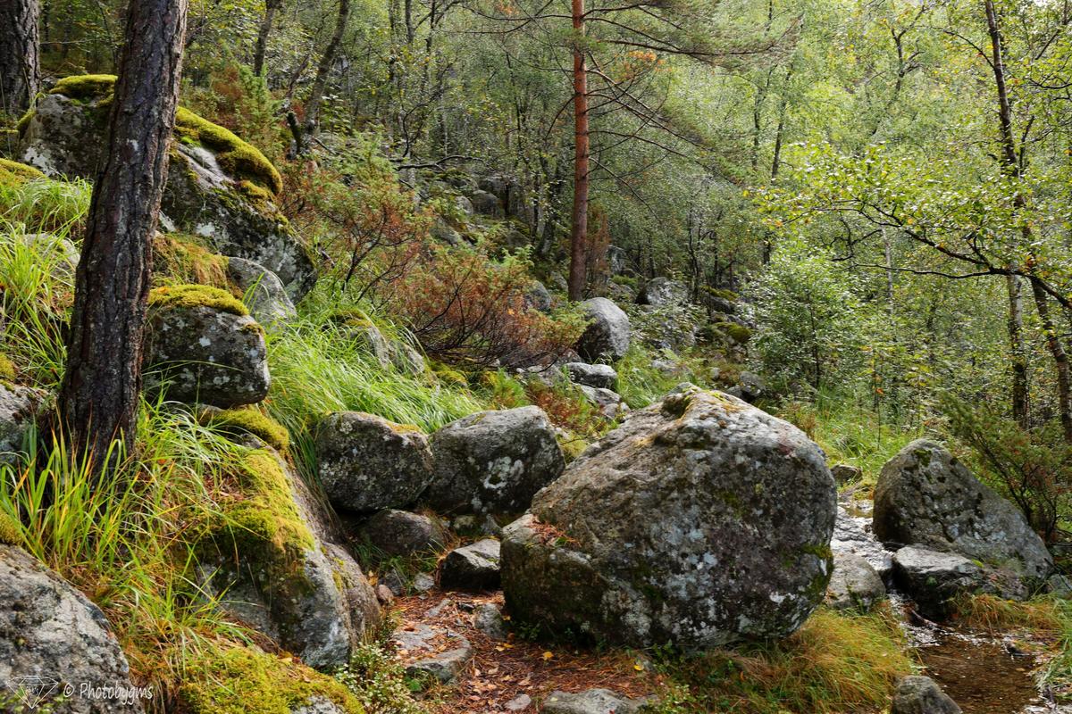 62A_9574.jpg