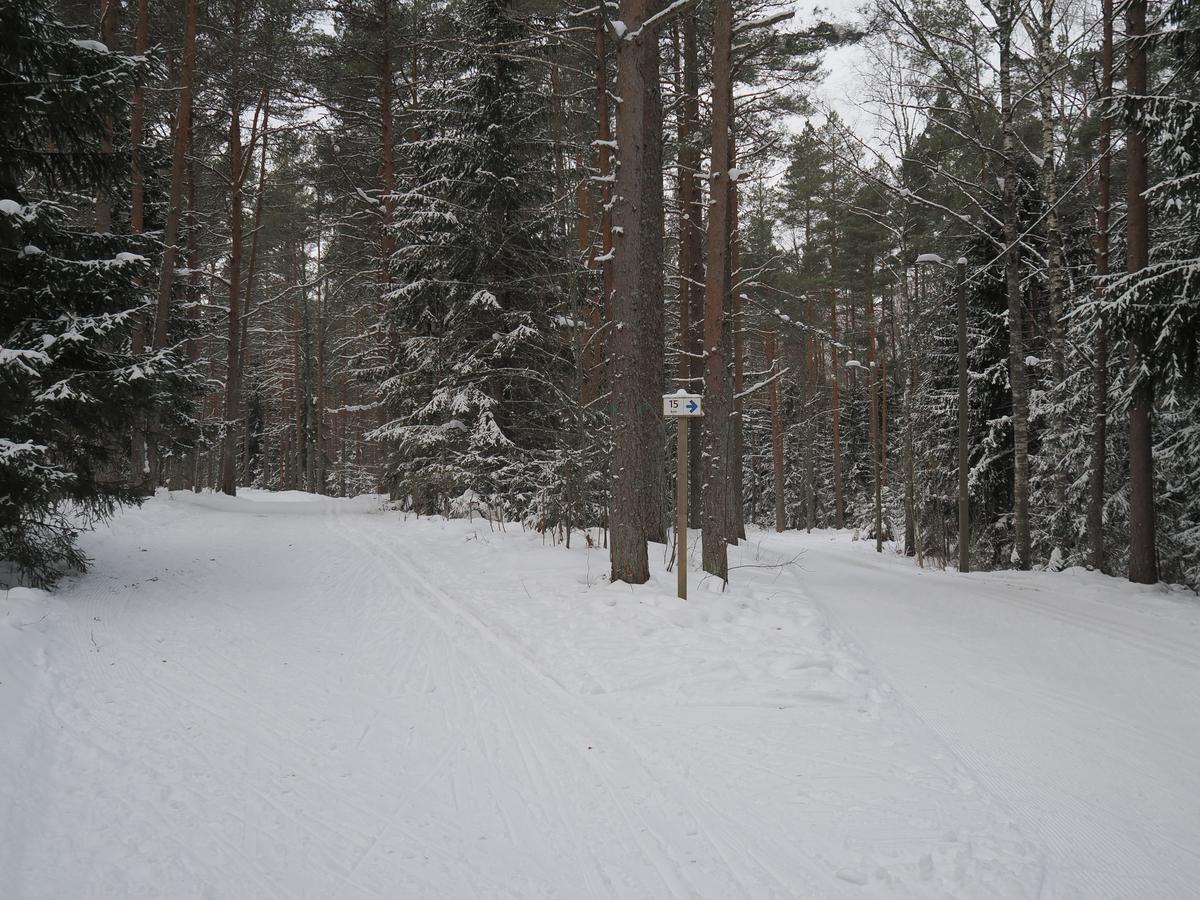 P2240008.JPG