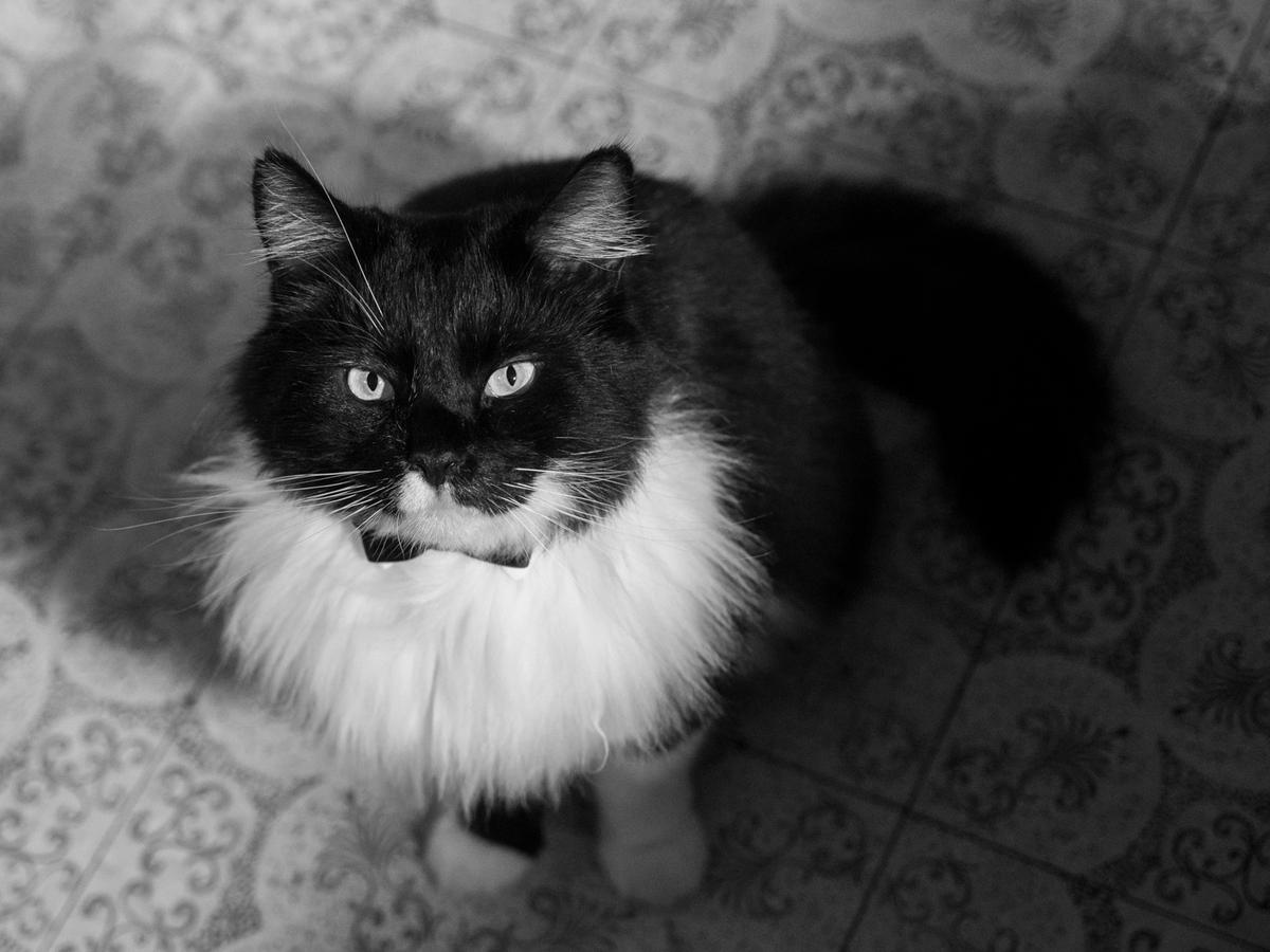 E-M1-#_C290868-34.jpg