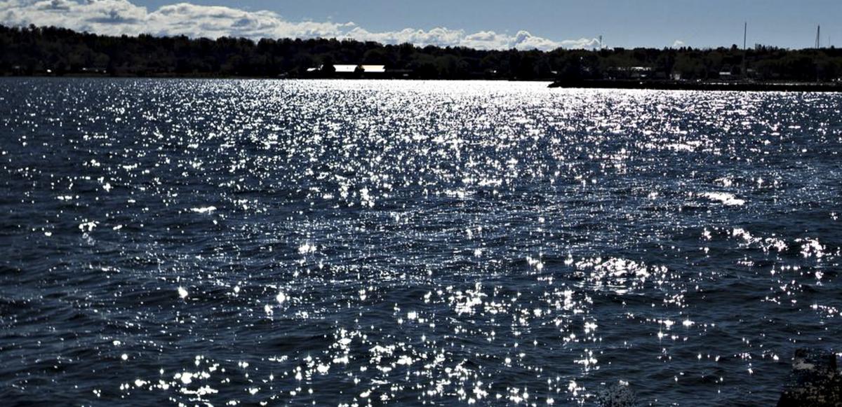 Sparkle crop..jpg
