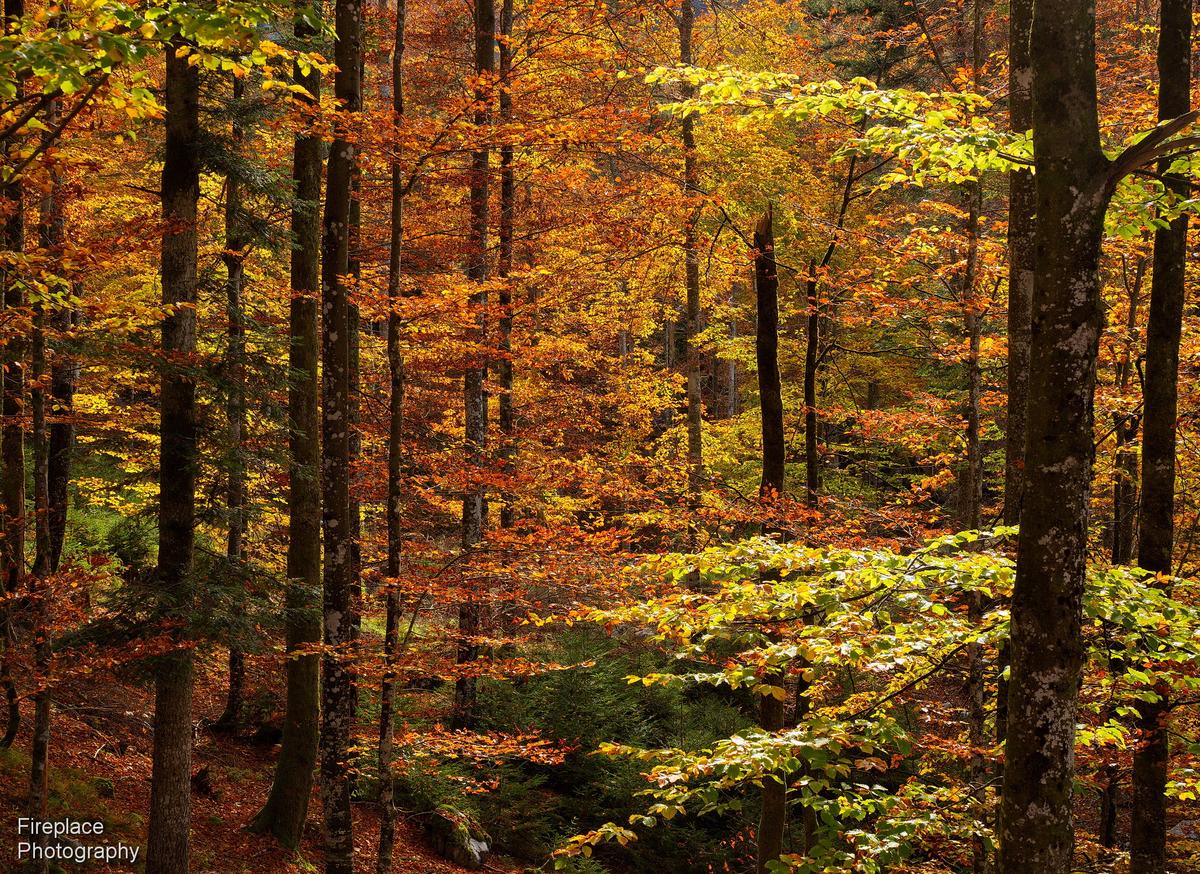 PA201050 d smaller.JPG
