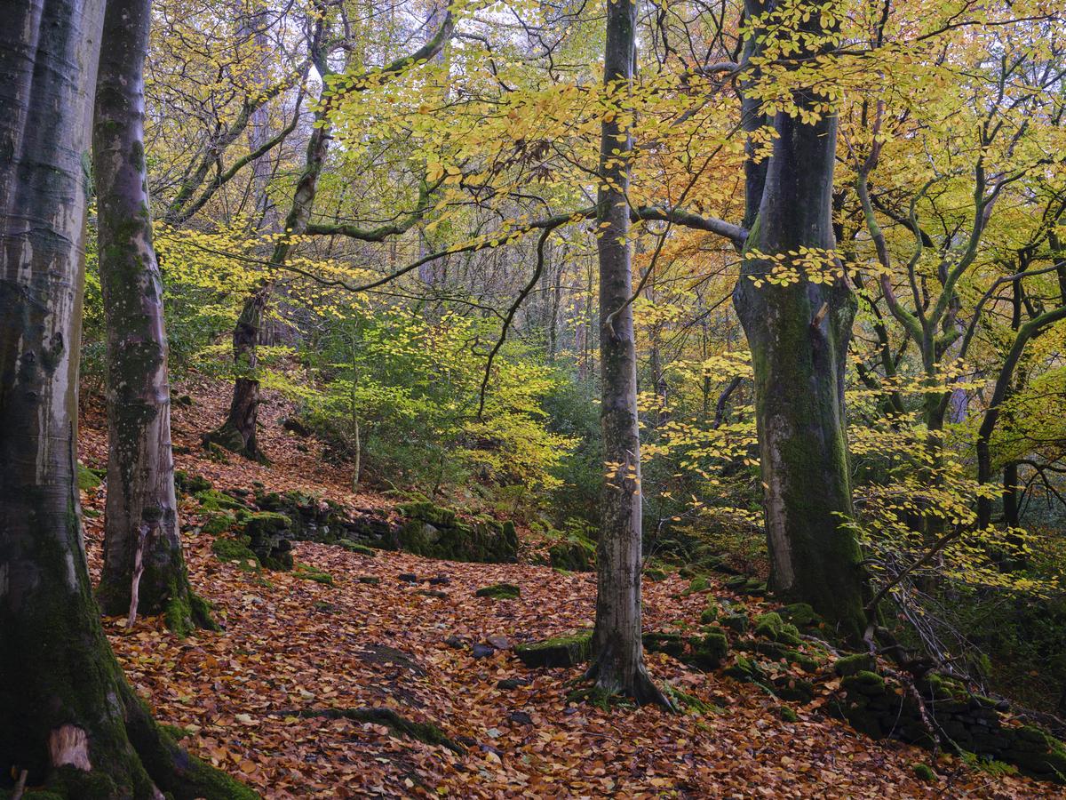 DSCF3628.jpg