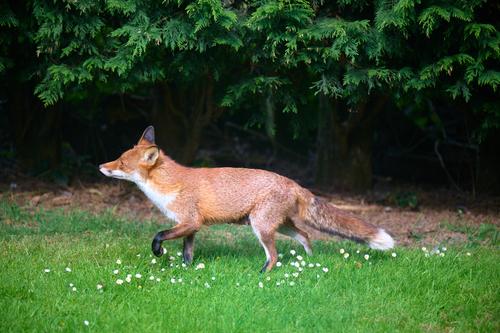 DSC_2152.jpg