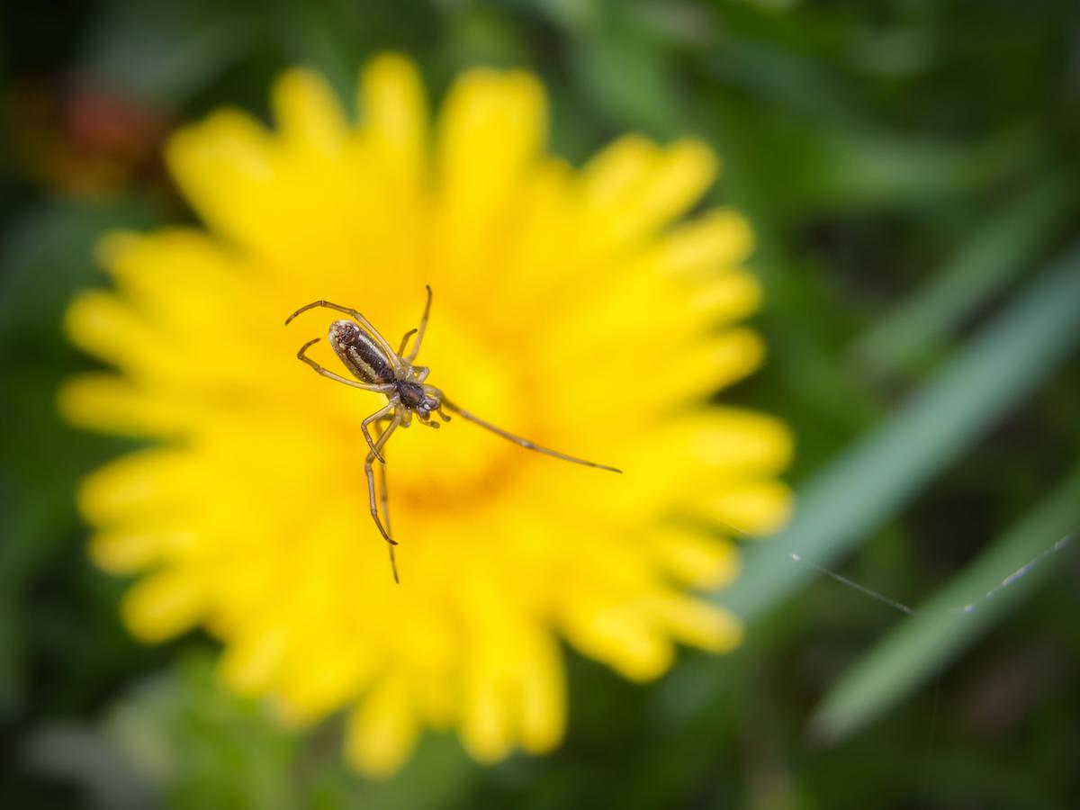 IMG_2687.jpeg