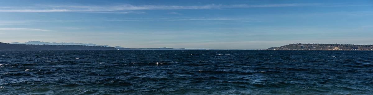 east-passage-north-backyard-pano.jpg