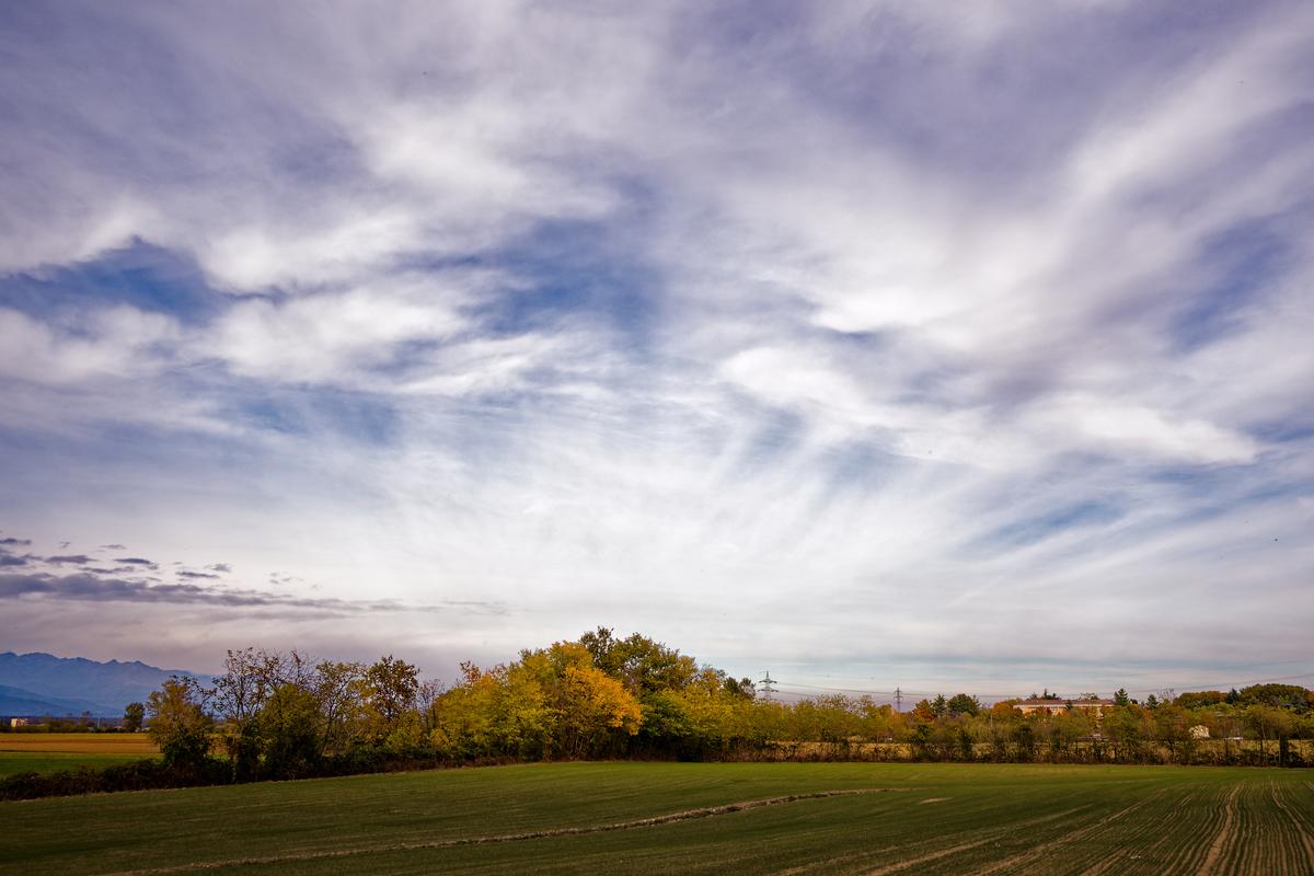 editme47_DxO-1.jpg