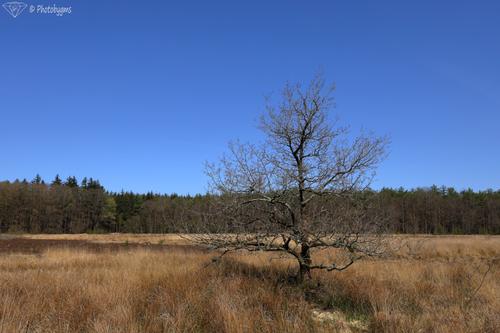 62B_1772.jpg
