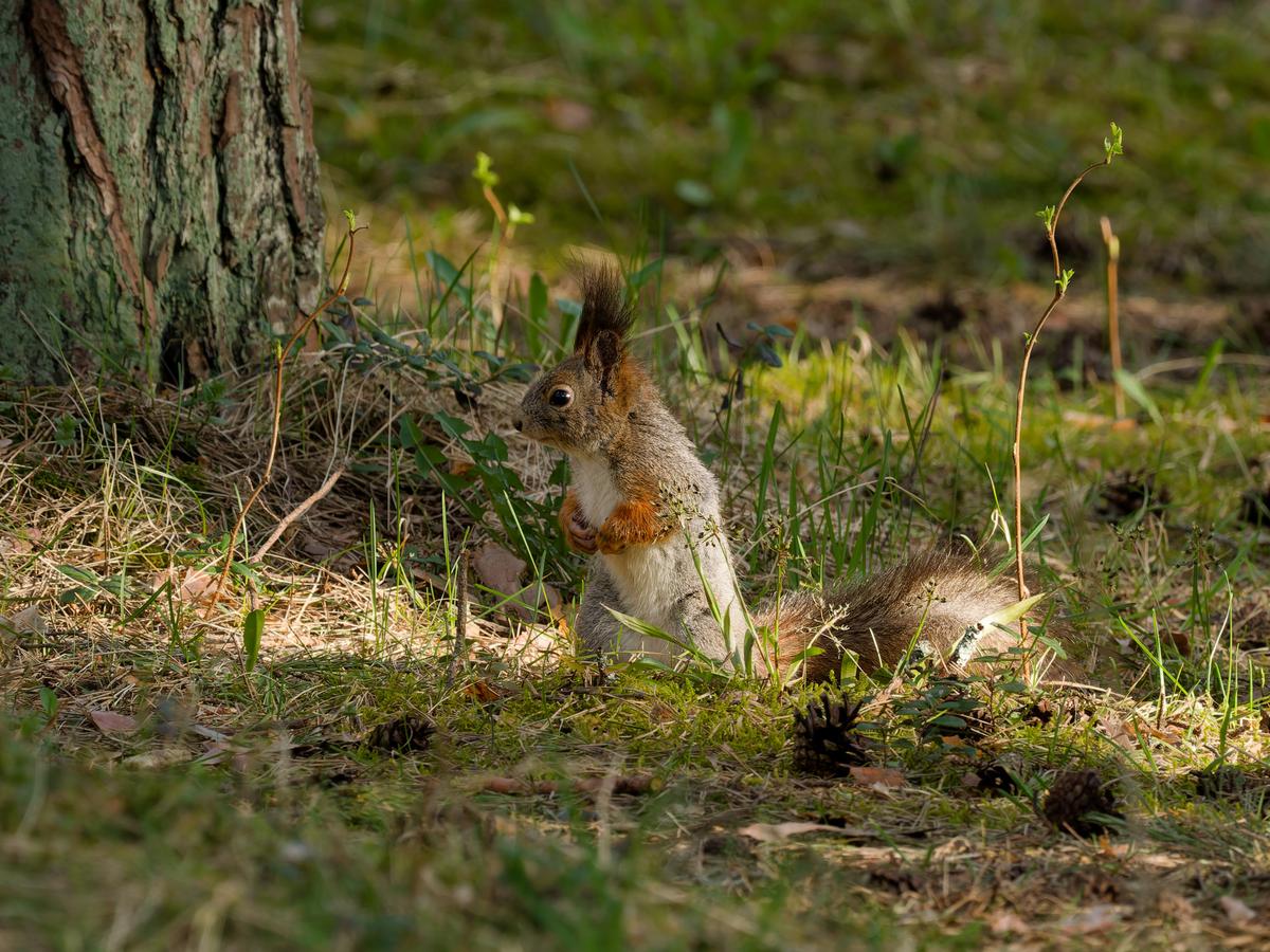 P4197425_DxO.jpg