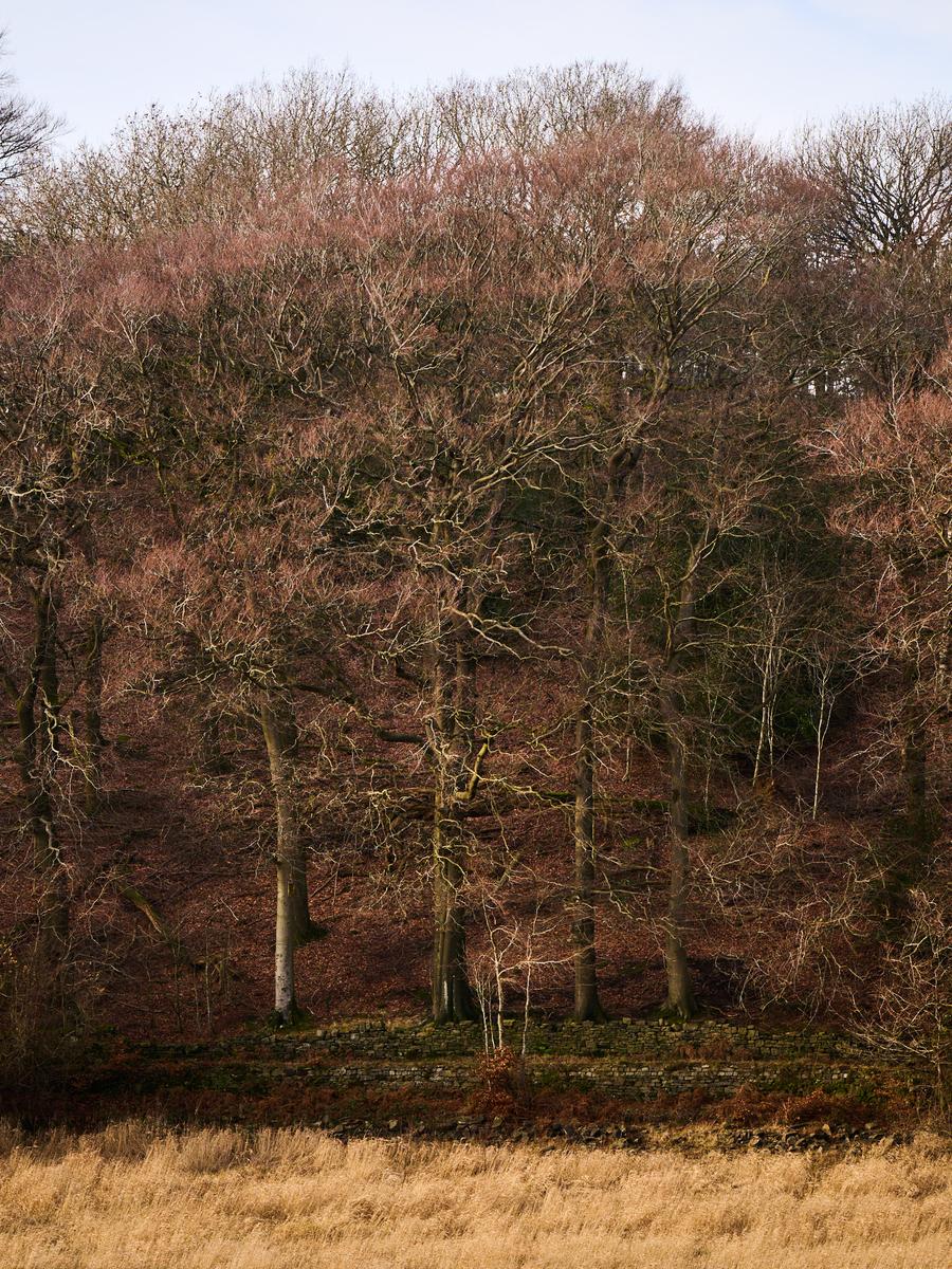 DSC_0106.jpg